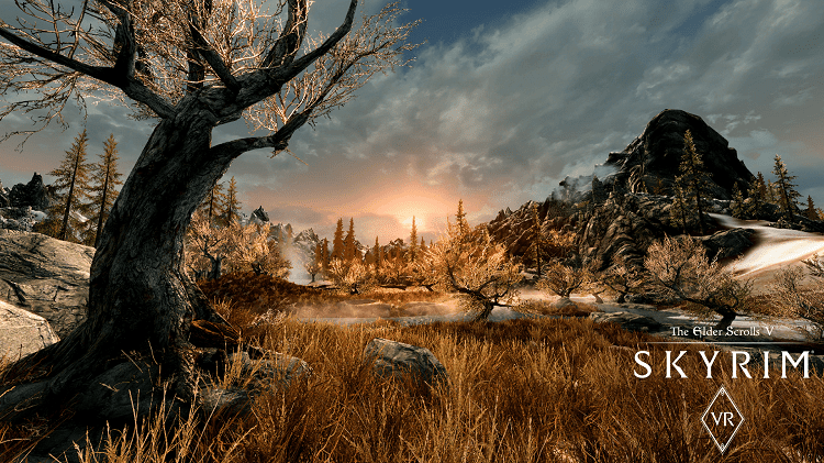 Skyrim VR