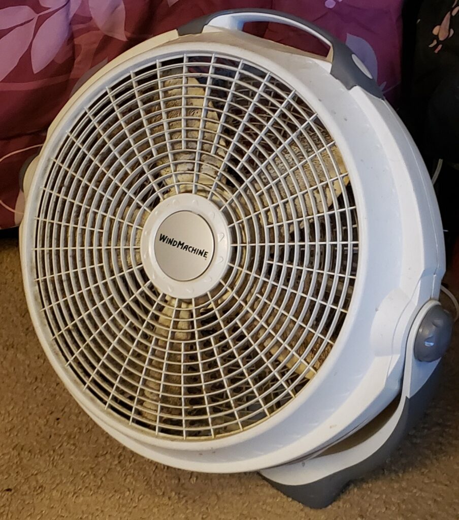 Portable fan