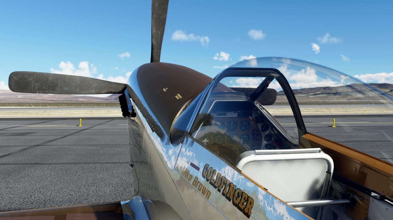 Microsoft Flight Simulator